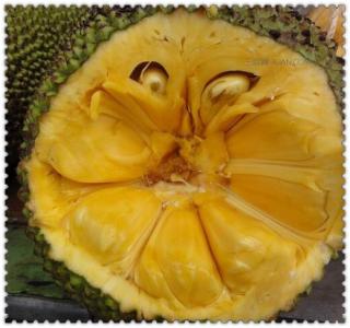晚上吃菠萝蜜可以吗 吃菠萝蜜可以减肥吗