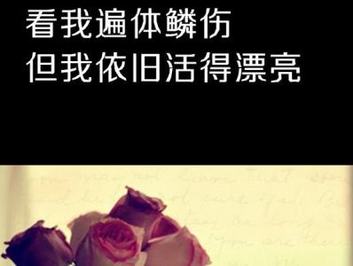 其实我还好 没有你的日子里其实我还好