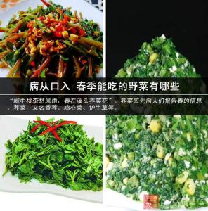 春季吃什么野菜 春季适合吃什么野菜？春季吃野菜的好处(2)