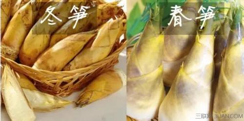 与海参营养相近的食物 相近的食物如何区分