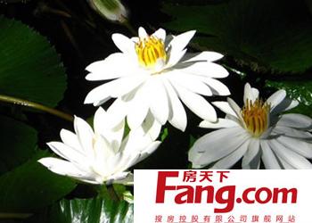 白露节气 推荐适合白露节气的食谱