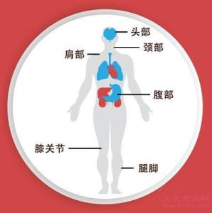 前列腺在人体哪个部位 人体四个部位不能“冻”