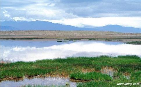 大苏干湖 大苏干湖自然保护区