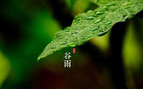 清明谷雨两相连 2016年谷雨是哪一天