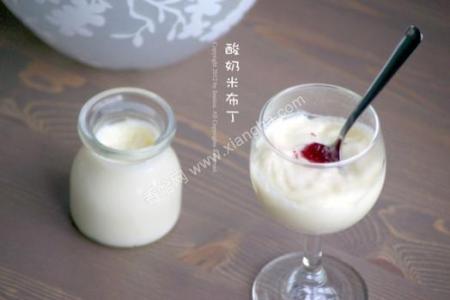 原味酸奶布丁的做法 酸奶布丁做法