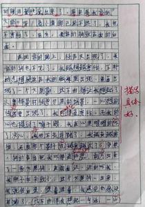 校运会作文300字 小学生校运会有感作文300字