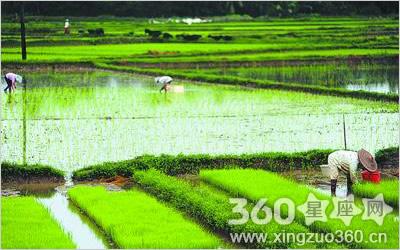 芒种杯2016寒假书目 2016年芒种具体时间