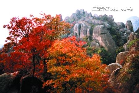 深秋踏红叶 寒露过后天渐寒 适合观赏深秋红叶美景