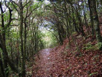 可渡河古驿道 曲靖可渡河古驿道