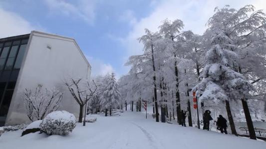 美丽的大雪作文 美丽的大雪