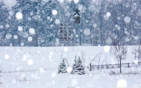 谷雨节气问候语 大雪节气问候语