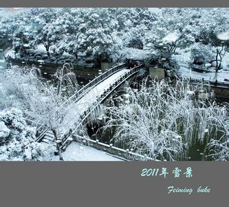 大雪小雪又一年 2011年大雪