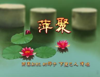 萍聚原唱播放 萍聚歌词