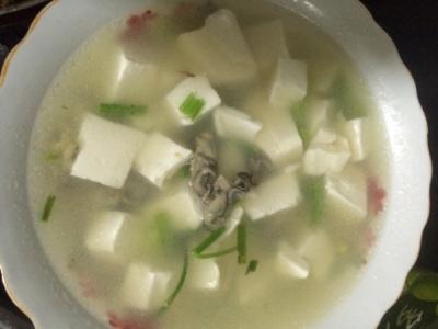 牡蛎和生蚝的区别 牡蛎豆腐汤的做法