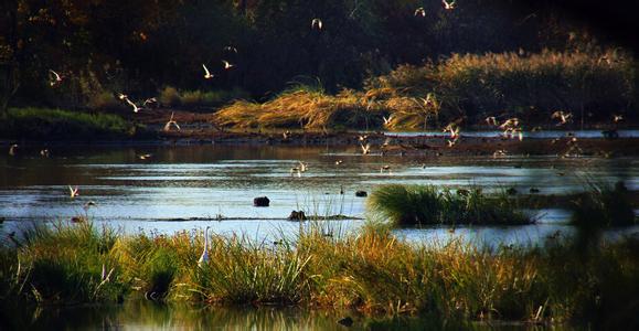 大黄堡湿地自然保护区 虎口湿地自然保护区
