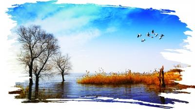 2017年世界湿地日主题 2017年是第几个世界湿地日