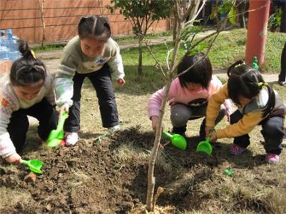 幼儿园植树节活动方案 幼儿园植树节活动方案2015最新