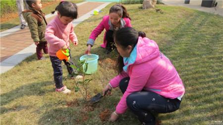 幼儿园植树节活动教案 幼儿园植树节活动方案