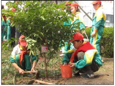 企业植树节活动方案 2015年企业植树节活动方案