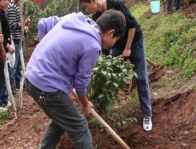 教师节是几月几号 植树节是几月几日