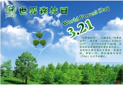 世界森林日的活动主题 2015年世界森林日主题活动演讲稿