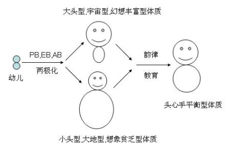 多媒体硬件大致可分为 人大致可分为六种体质类型