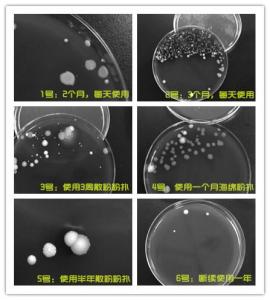 粉扑怎么清洗 粉扑三天不洗，五万细菌