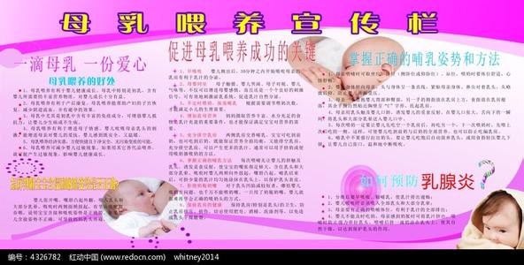 母乳喂养宣传资料 2015年全国母乳喂养日宣传资料大全