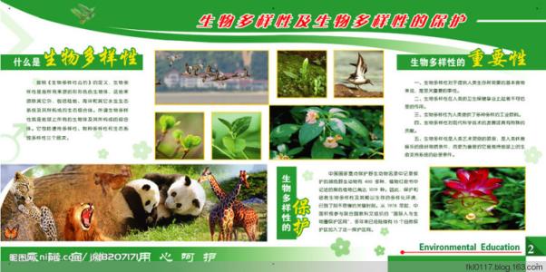 生物多样性海报宣传画 5.22国际生物多样性日宣传资料大全