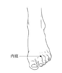 强效七味地骨降糖胶囊 人体暗藏四味“降糖药”