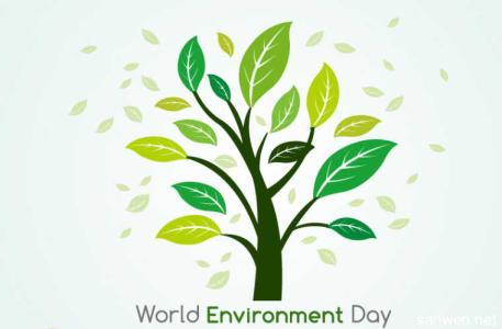 乡镇环境保护工作计划 六五世界环境日活动总结