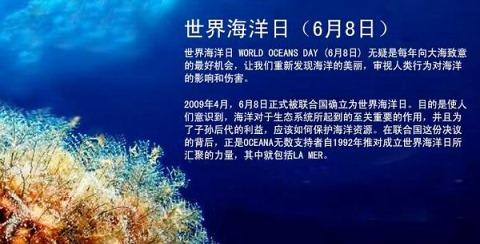 世界水日宣传活动方案 第8个世界海洋日宣传活动方案