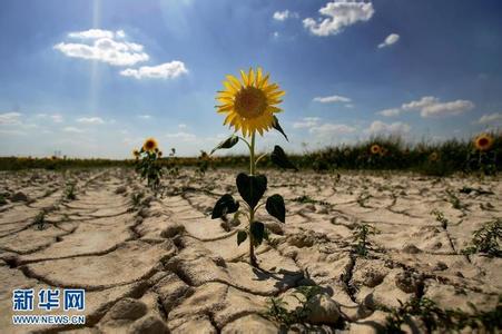 防治荒漠化和干旱日 世界防治荒漠化和干旱日介绍