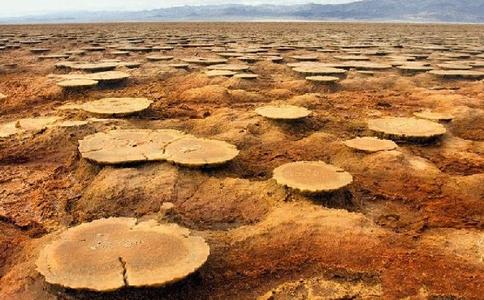 防治荒漠化和干旱日 世界防治荒漠化和干旱日历年主题