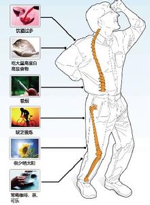 白领健康险baigebao 四杯水白领保护身体健康的卫士