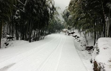 白雪秋 又是秋华成白雪