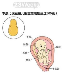 怀孕6个月注意事项 怀孕6个月胎动注意事项