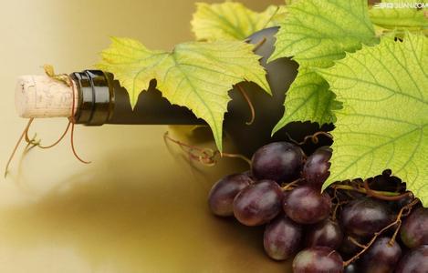 春季增强免疫力 春季常喝点葡萄酒可增强自身免疫力