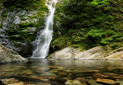 云南山里人农村合作社 我是山里人，来自农村