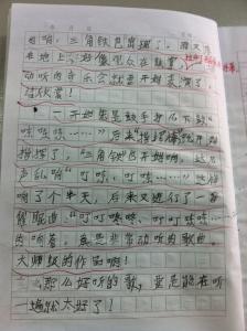 五一见闻作文 中学生五一见闻作文800字