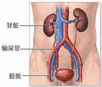 机械旋转部位防护标准 这10个部位最易癌变 该如何防护？