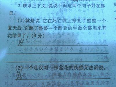 《石榴》阅读短文答案 石榴阅读答案