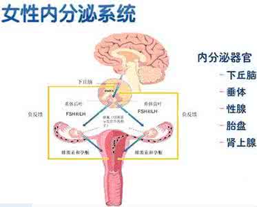 霉菌会导致月经不来吗 阴道炎会导致月经推迟吗