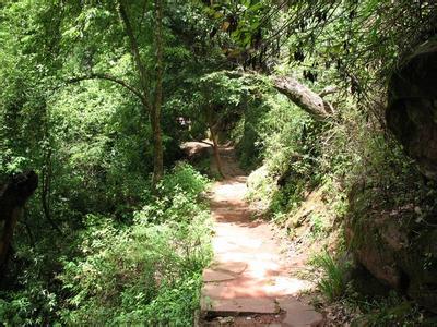 楚雄永仁方山花卉园 楚雄永仁方山