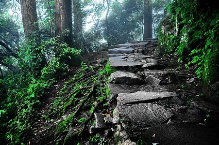 天目山好还是莫干山好 天目山