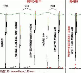 冬天红虫钓鲫鱼调漂 冬钓鲫鱼调漂及入口信号