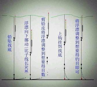 冬天红虫钓鲫鱼调漂 冬钓鲫鱼调漂及信号反应