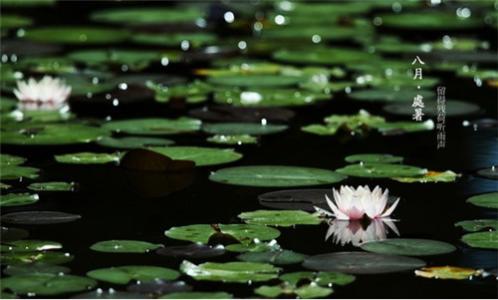 处暑节气的天气特点