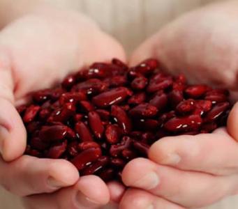 冬季结红豆的灌木 冬季为什么宜吃红豆