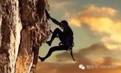 绘本有什么了不起 你是弱者，又有什么了不起